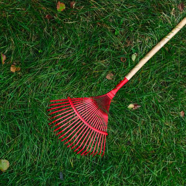 Louer un rateaux avec MD LOC