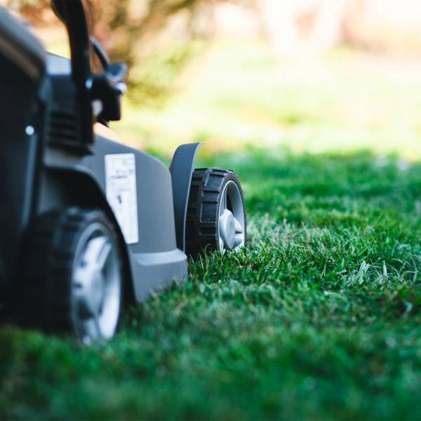 Vous avez besoin d'une tondeuse à gazon