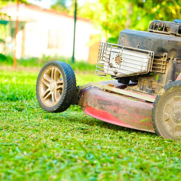 Vous avez besoin d'une tondeuse à gazon