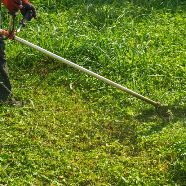 Débroussailleuse à louer au Havre